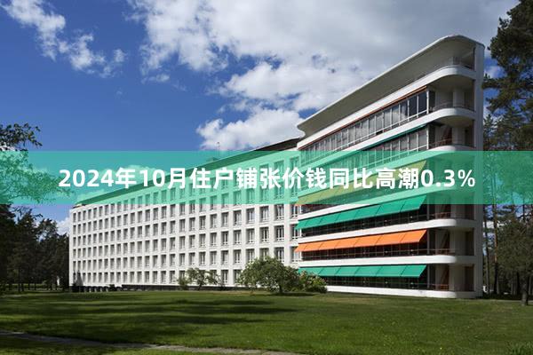 2024年10月住户铺张价钱同比高潮0.3%