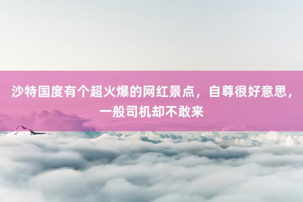 沙特国度有个超火爆的网红景点，自尊很好意思，一般司机却不敢来