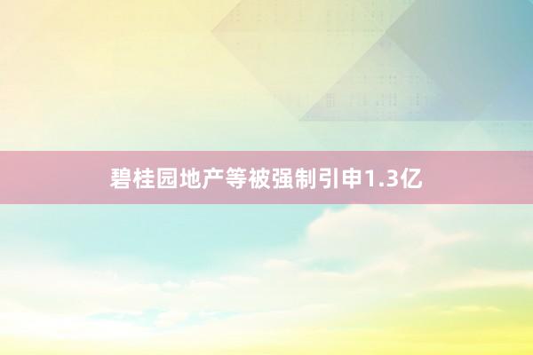 碧桂园地产等被强制引申1.3亿