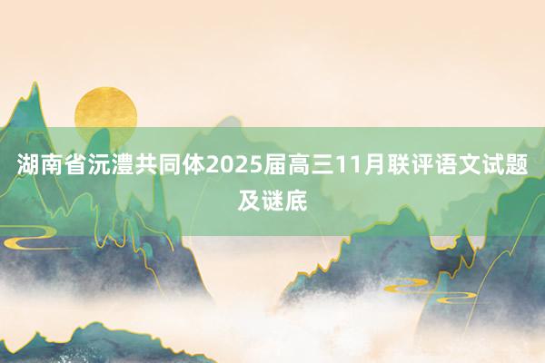 湖南省沅澧共同体2025届高三11月联评语文试题及谜底