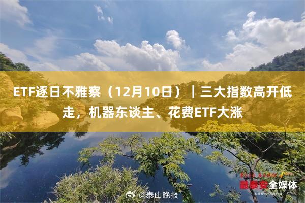 ETF逐日不雅察（12月10日）｜三大指数高开低走，机器东谈主、花费ETF大涨