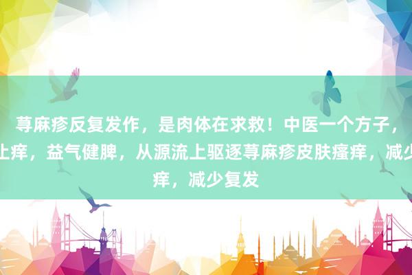 荨麻疹反复发作，是肉体在求救！中医一个方子，祛风止痒，益气健脾，从源流上驱逐荨麻疹皮肤瘙痒，减少复发