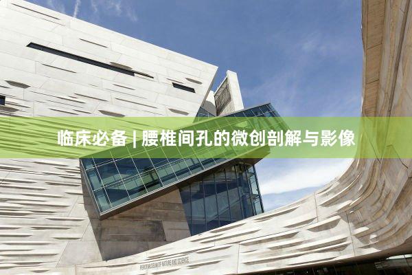 临床必备 | 腰椎间孔的微创剖解与影像