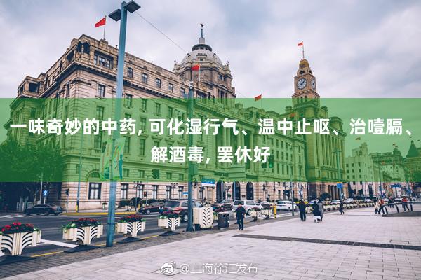 一味奇妙的中药, 可化湿行气、温中止呕、治噎膈、解酒毒, 罢休好